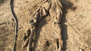 من بين أكبر المذابح التي وقعت في العراق مذبحة سبايكر التي قتل فيها نحو 1700 عراقي
