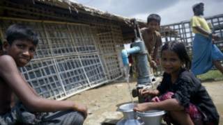 rohingya