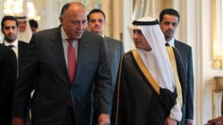 سامح شكري في الرياض