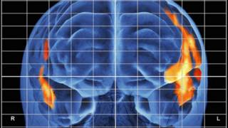 Atividade cerebral de uma pessoa lendo em voz alta | Foto: BBC