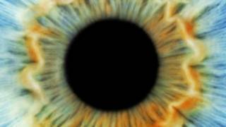 Thinkstock