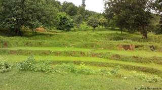 नरेगा के काम