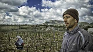 Foto: Domaine de Bargylus