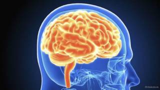 Cerebro