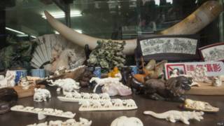 Gading gajah