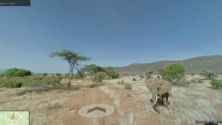 Mbuga ya wanyama ya Samburu
