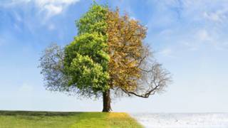 (Foto: Thinkstock)