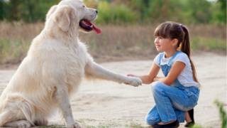 Foto: Thinkstock