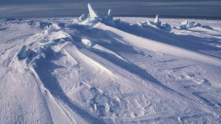 Antártica