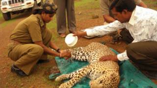 Gir Forest National Park
