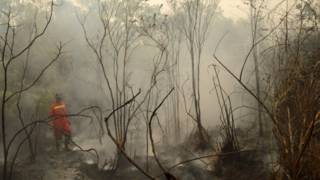 Lahan gambut terbakar