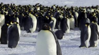 Reuters