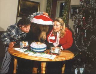 Hercules The Bear A Gentle Giant in the Family I Maggie Robin