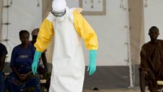 Ebola sierra