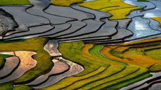 Ảnh của nghệ sĩ nhiếp ảnh Xuân Hòa