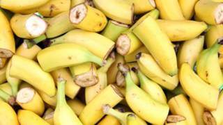 Bananas.