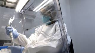 Una especialista realiza trabajos de laboratorio relacionados con el virus zika.