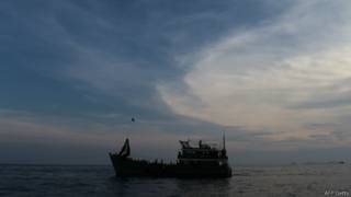 rohingya