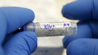 zika texas