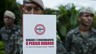 Aedes Aegypti, el mismo mosquito que transmite dengue, zika y chikungunya