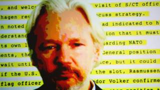 Assange