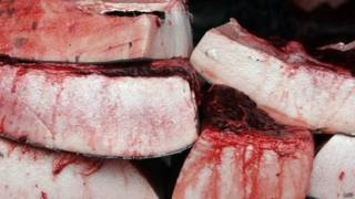 Carne de ballena