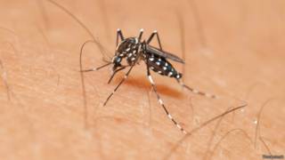 Zika