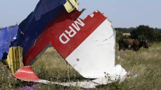 MH17