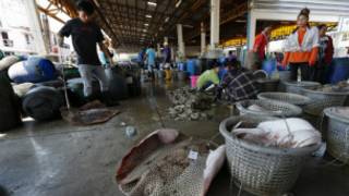 Myanmar Workers in Thailand