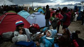 migrants