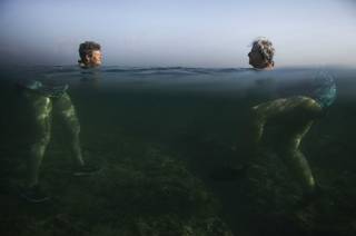 Alexandre Meneghini/Sony World Photography Awards