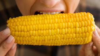 Comiendo maíz