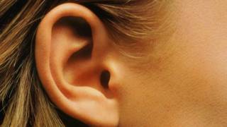 Una oreja