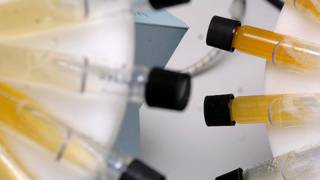 Russia doping