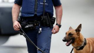 belgium arrest