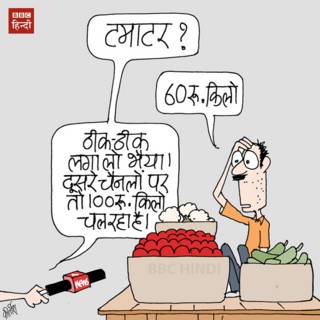 bbc hindi, cartoon, kirtish, media, tomato