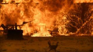 california_wild_fire