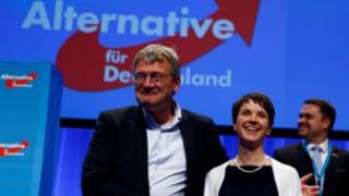 germany_afd