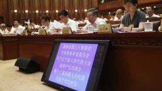 中國全國人大常委會表決遼寧涉賄選人員當選無效公告(中新社圖片13/9/2016)