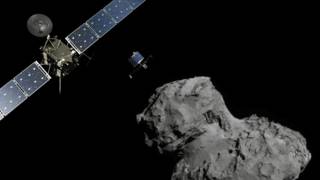 rosetta