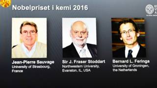 Nobel Kimia
