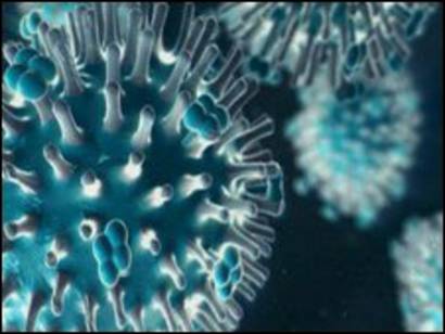 la grippe síntomas porcinos de diabetes la grippe síntomas porcinos de diabetes