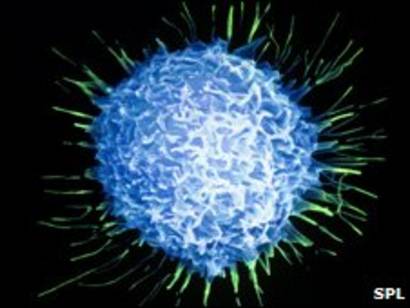 dana farber tratamiento clínico del cáncer de próstata dana farber tratamiento clínico del cáncer de próstata