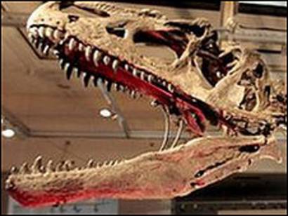 Espacio En El Salon Para El Esqueleto De Un Dinosaurio Bbc News