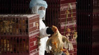 Korban Flu Burung Di Indonesia Kembali Bertambah Bbc News Indonesia