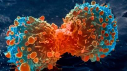 Puede el ayuno intermitente curar el cáncer
