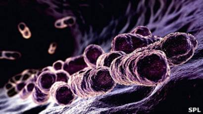como entran los microbios a nuestro cuerpo como entran los microbios a nuestro cuerpo