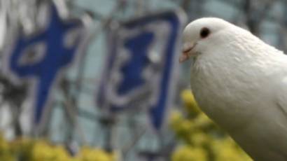 27++ Korban flu burung di indonesia terbaru