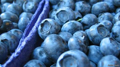 diabetes uvas de frutas diabetes uvas de frutas