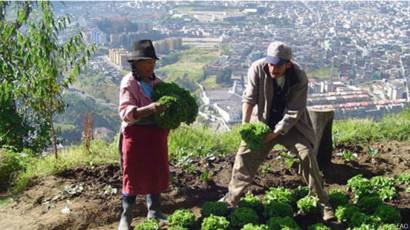 10 Ciudades Latinoamericanas Que Se Destacan Por La Agricultura